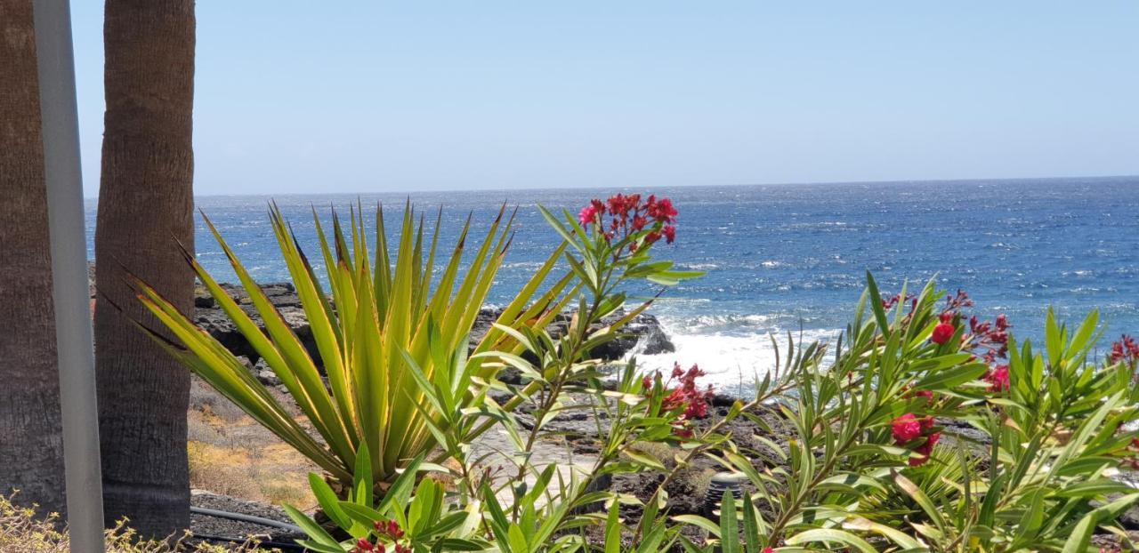 Cosy Well Located Apartment Tenerife Sur Golf San Miguel de Abona Eksteriør bilde