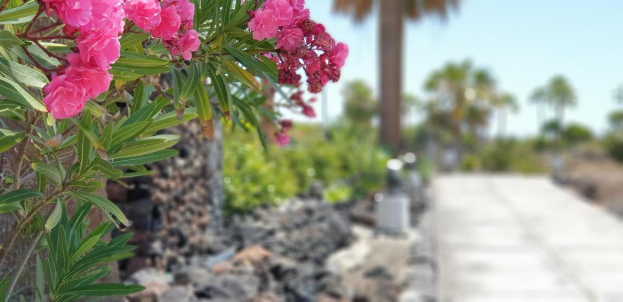 Cosy Well Located Apartment Tenerife Sur Golf San Miguel de Abona Eksteriør bilde