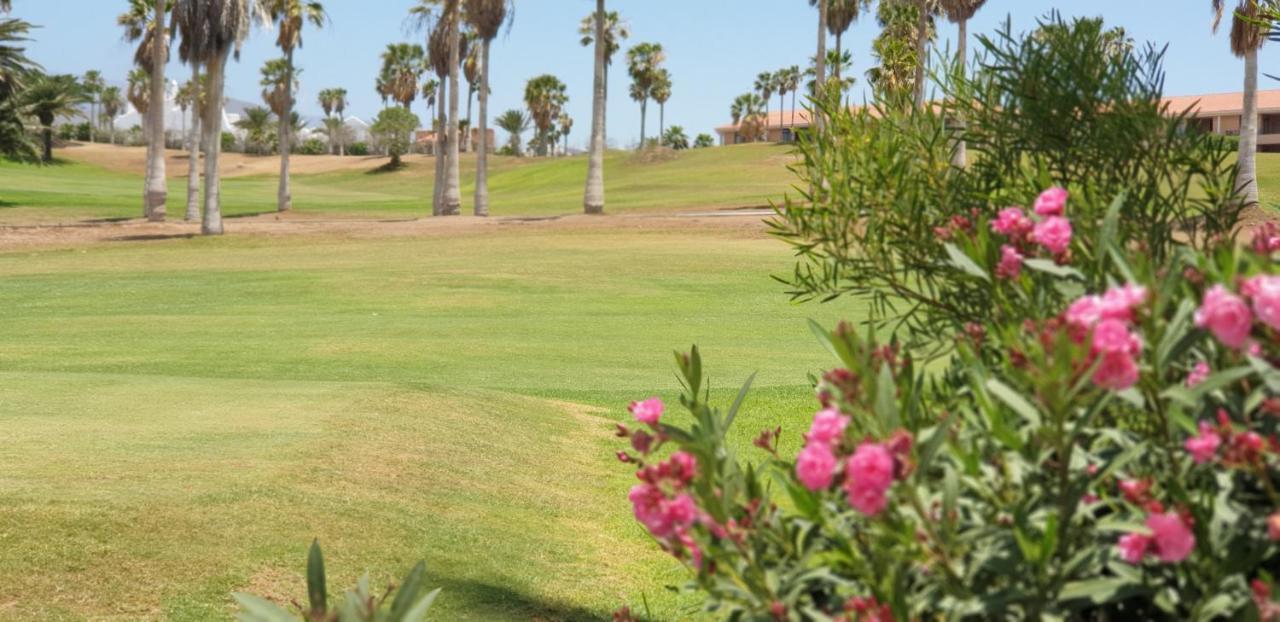 Cosy Well Located Apartment Tenerife Sur Golf San Miguel de Abona Eksteriør bilde