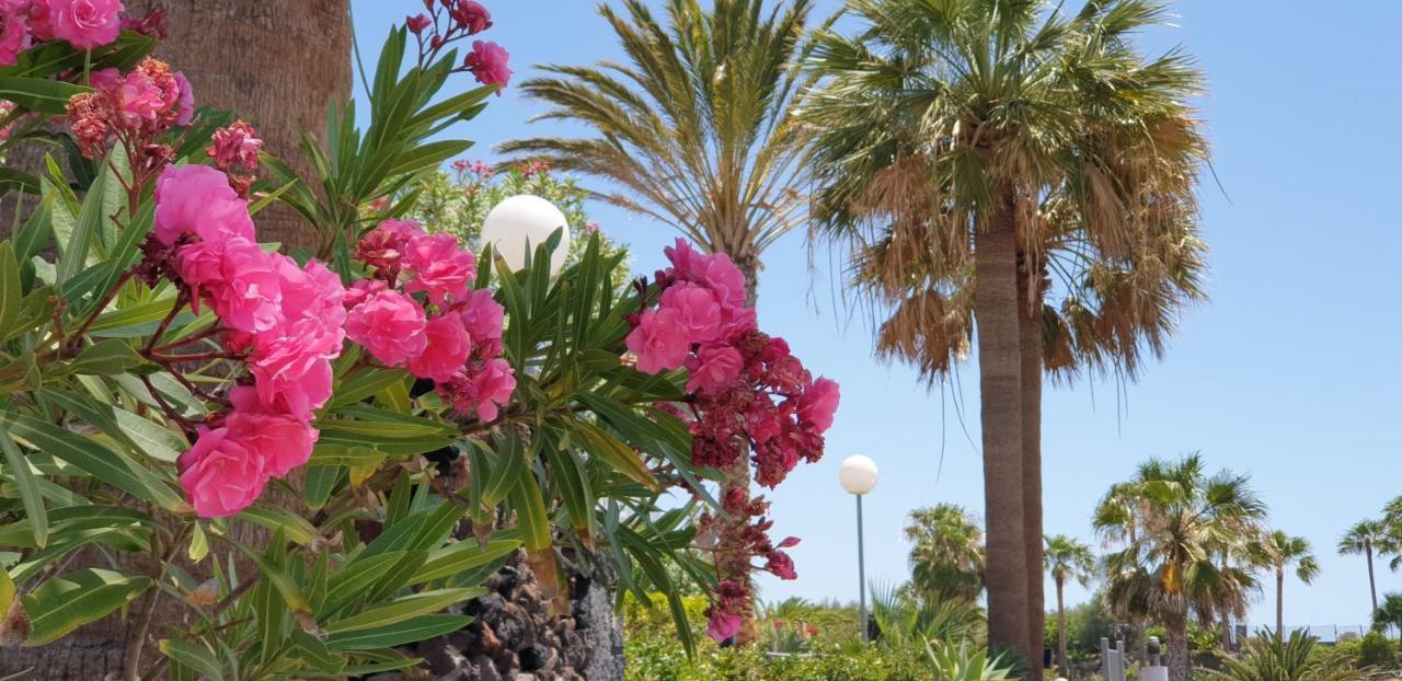 Cosy Well Located Apartment Tenerife Sur Golf San Miguel de Abona Eksteriør bilde