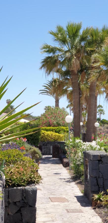 Cosy Well Located Apartment Tenerife Sur Golf San Miguel de Abona Eksteriør bilde